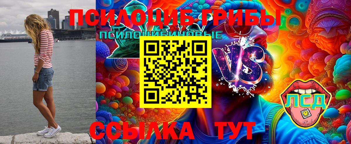 Нефтекумск  Вход с VPN  МДМА  Гашиш  ГАШ  Меф МЯУ МЯУ кристаллы  КОКАИН  Каннабис 