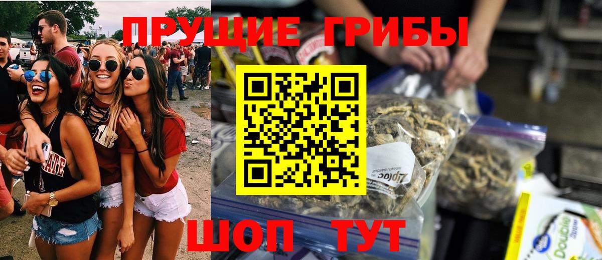 Псилоцибиновые грибы Psilocybine cubensis Нефтекумск
